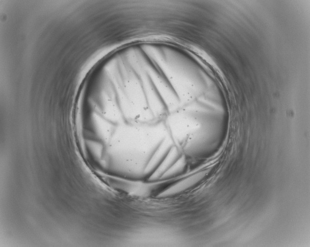 X0000059800959200511111558