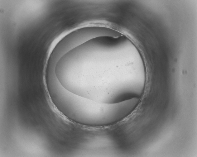 X0000059800960200511111558