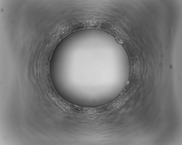 X0000059800961200511111557