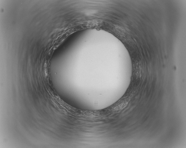 X0000059800962200511111557