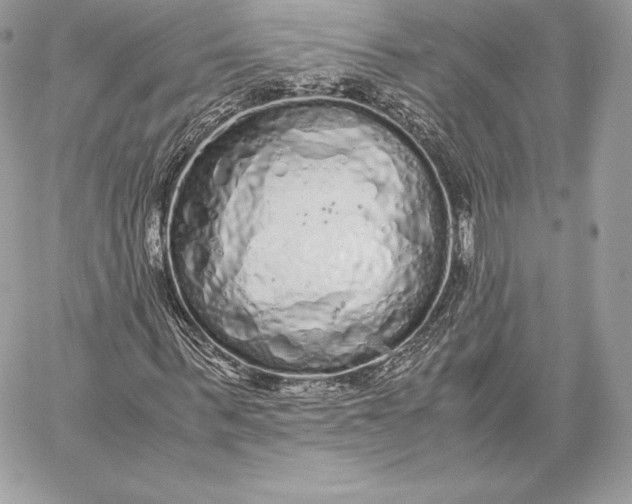 X0000059800963200511111557