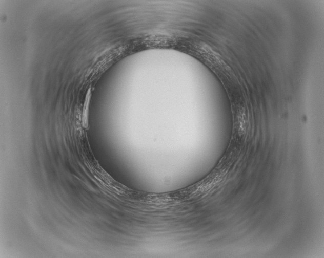 X0000059800964200511111557