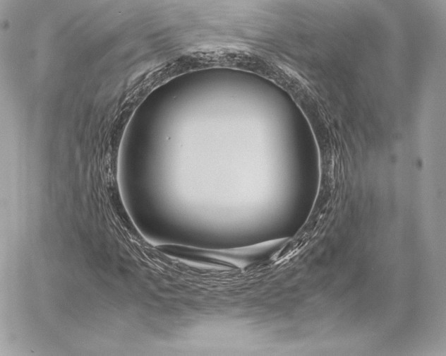 X0000059800965200511111557