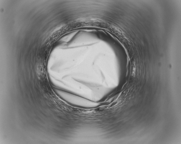 X0000059800966200511111557