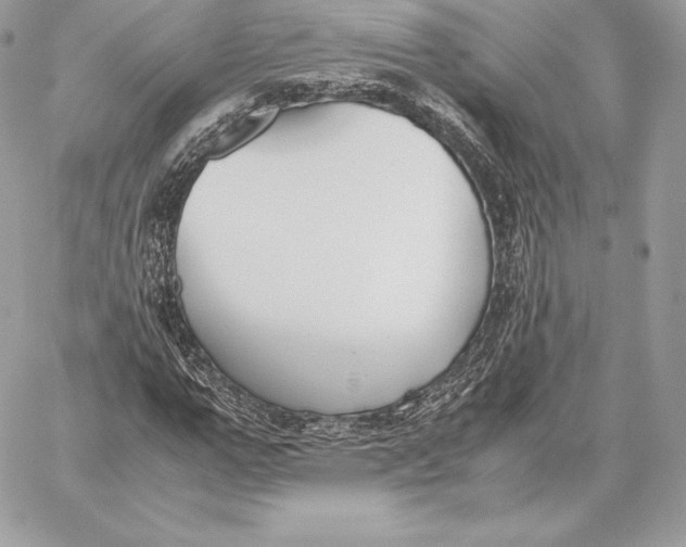 X0000059800967200511111557