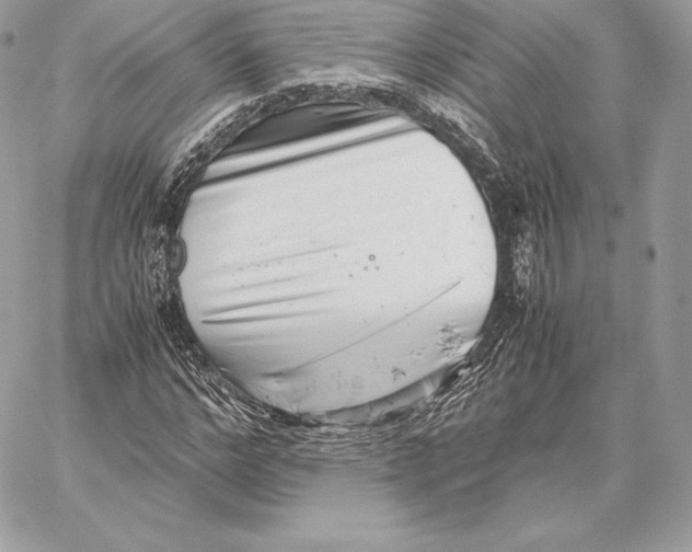 X0000059800968200511111557