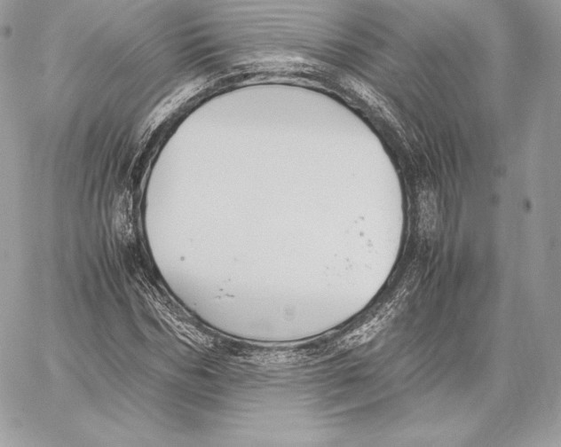 X0000059800970200511111557