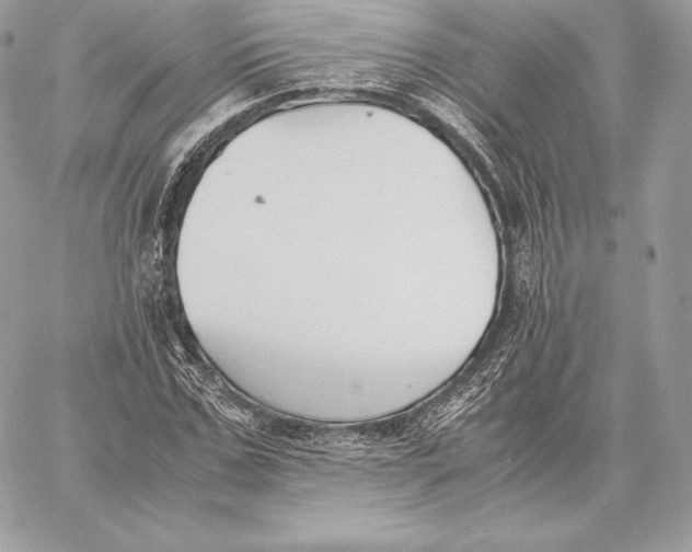 X0000059800971200511111557