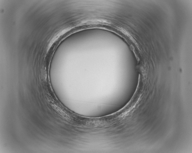 X0000059800973200511111557