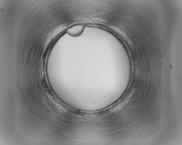 X0000059800974200511111557