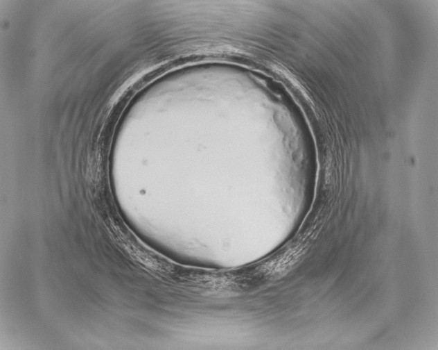 X0000059800975200511111557