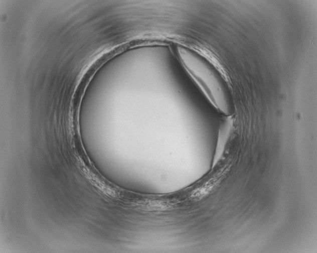 X0000059800976200511111557