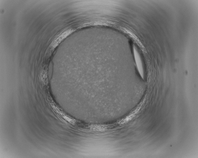 X0000059800977200511111557