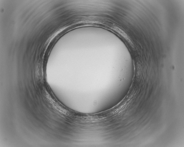 X0000059800980200511111557