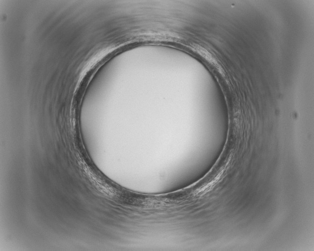 X0000059800981200511111557