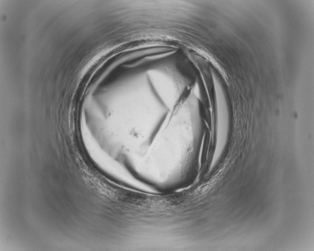 X0000059800983200511111556