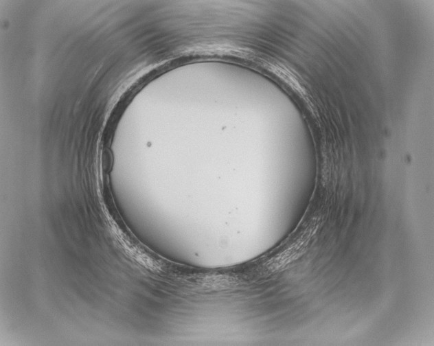 X0000059800984200511111556