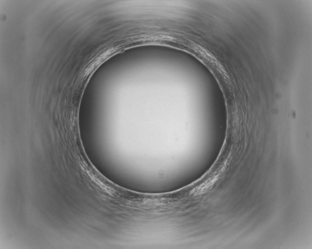 X0000059800985200511111556