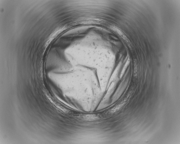 X0000059800986200511111556