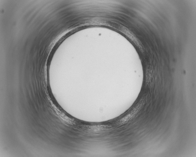 X0000059800988200511111556