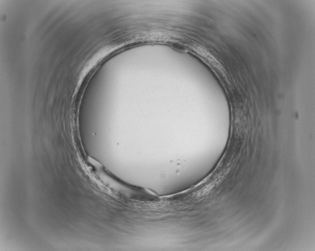 X0000059800989200511111556