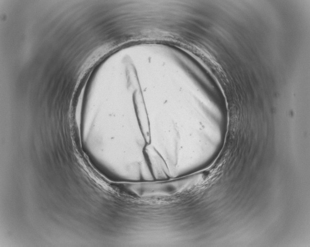 X0000059800990200511111556