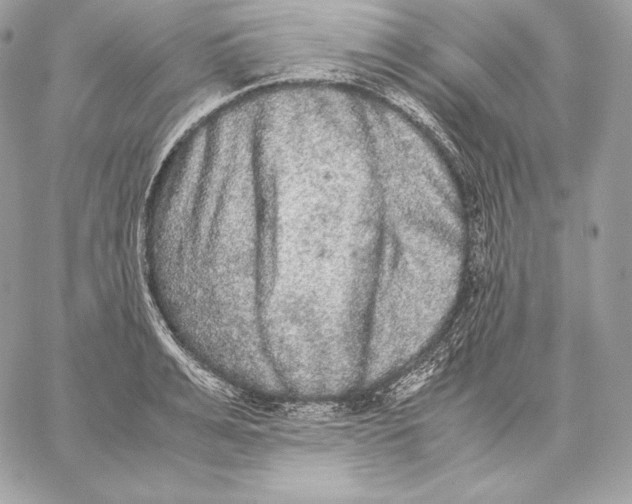 X0000059800991200511111556