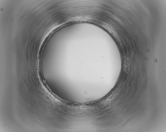 X0000059800992200511111556