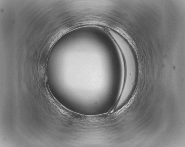 X0000059800993200511111556