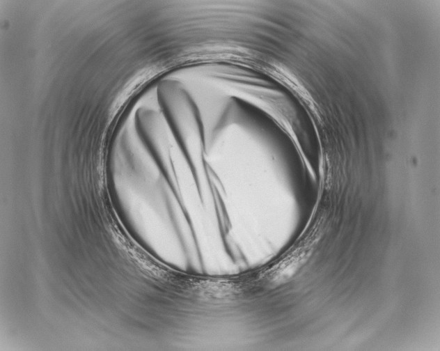 X0000059800994200511111556