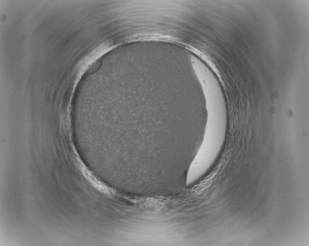 X0000059800995200511111556