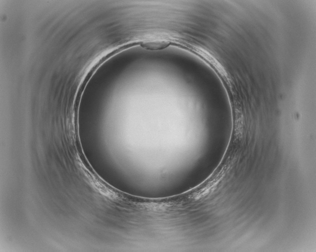 X0000059800996200511111556