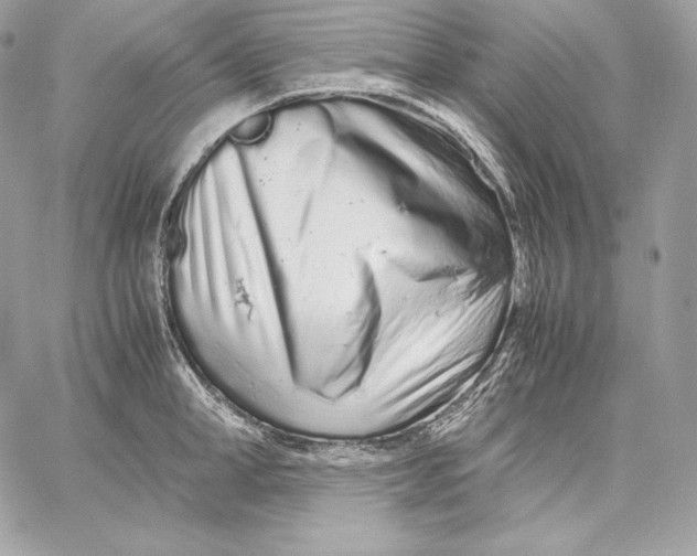 X0000059800998200511111556