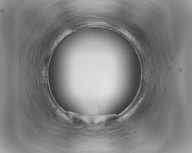 X0000059801001200511111556