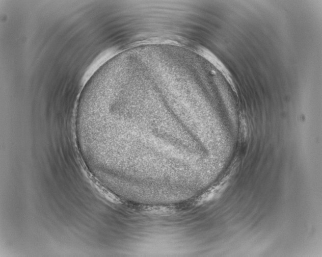 X0000059801002200511111556