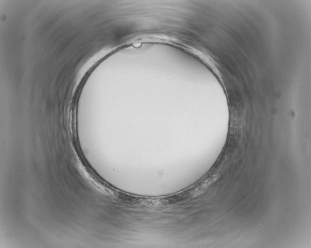 X0000059801003200511111556