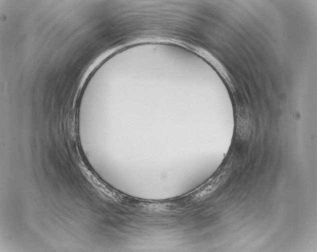 X0000059801004200511111556