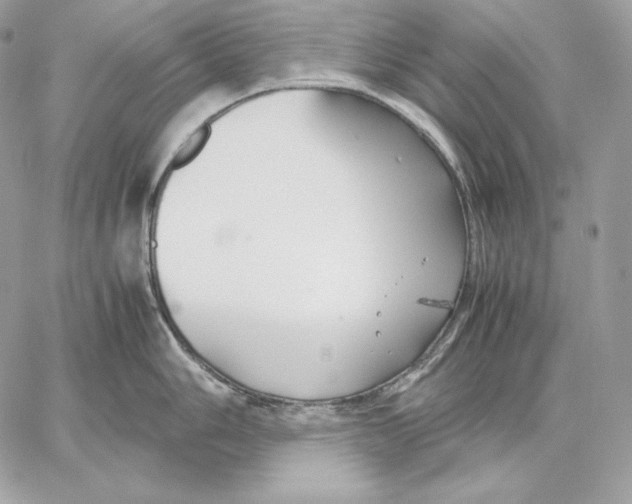 X0000059801006200511111556