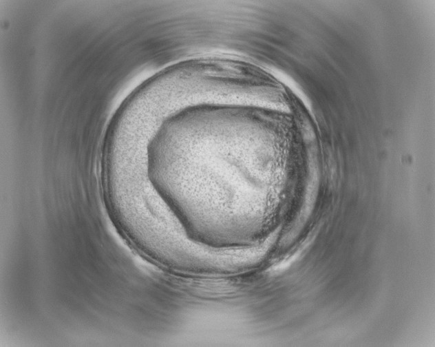 X0000059801007200511111556