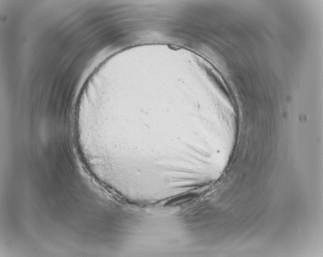 X0000059801008200511111556