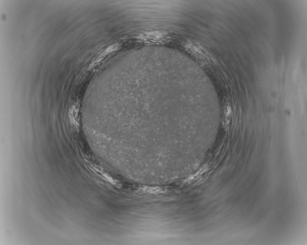 X0000059801010200511111555