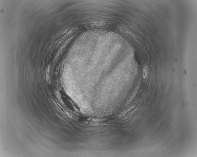 X0000059801011200511111555