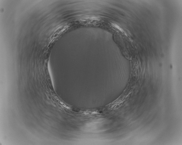 X0000059801013200511111555