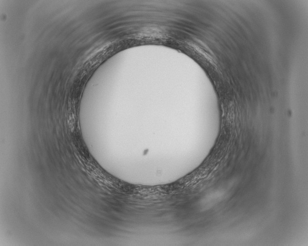 X0000059801015200511111555