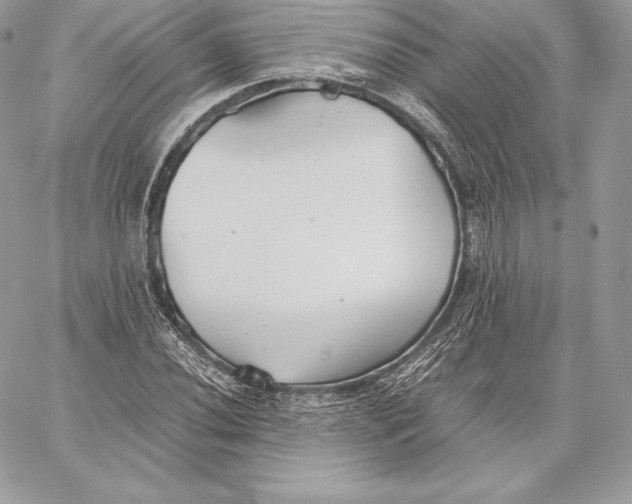 X0000059801020200511111555