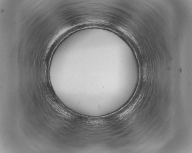 X0000059801021200511111555