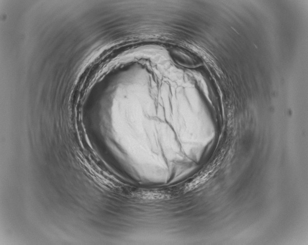 X0000059801023200511111555