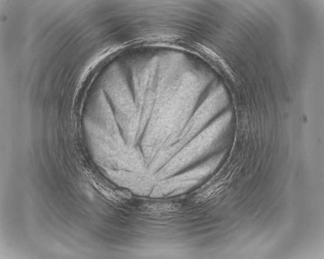 X0000059801027200511111555