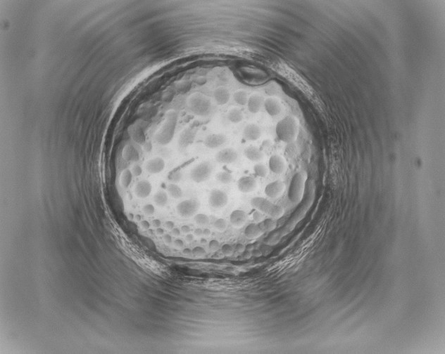 X0000059801028200511111555