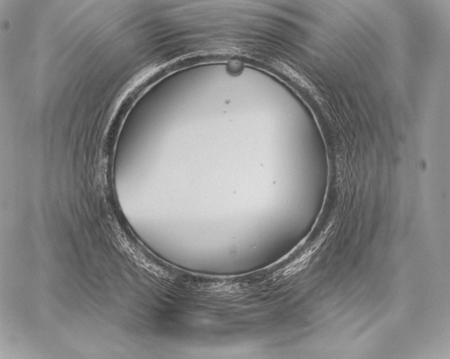 X0000059801029200511111555